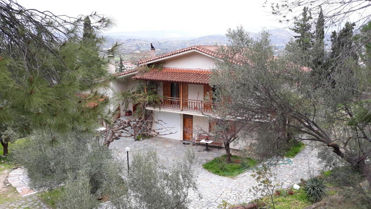 Appartamento Σπίτι Σε Ελαιώνα, House In An Olive Grove Ária Esterno foto