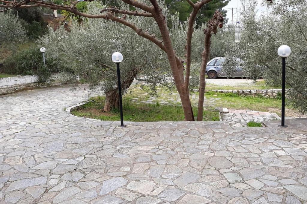 Appartamento Σπίτι Σε Ελαιώνα, House In An Olive Grove Ária Esterno foto