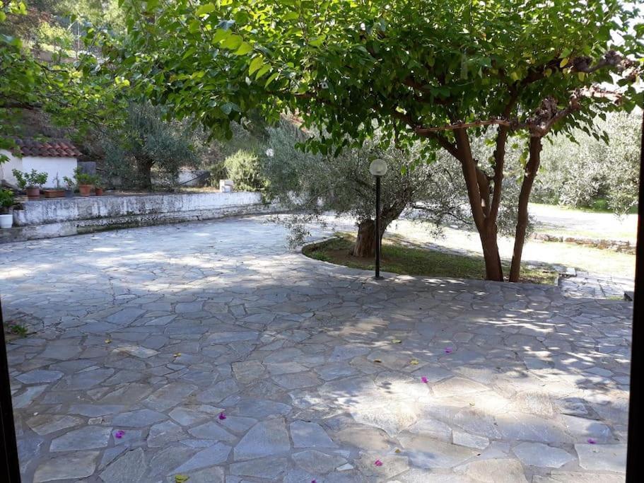 Appartamento Σπίτι Σε Ελαιώνα, House In An Olive Grove Ária Esterno foto