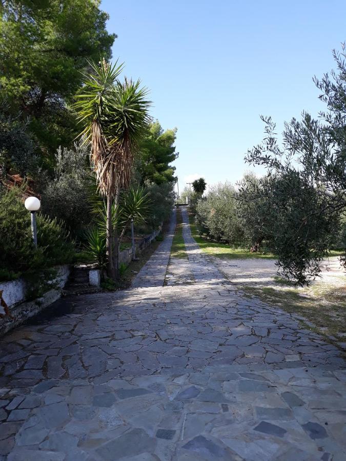 Appartamento Σπίτι Σε Ελαιώνα, House In An Olive Grove Ária Esterno foto
