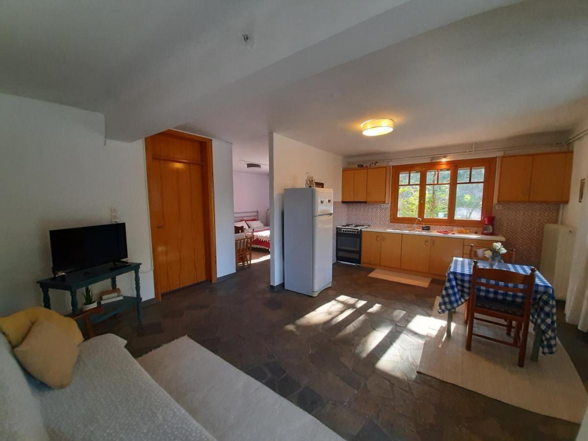 Appartamento Σπίτι Σε Ελαιώνα, House In An Olive Grove Ária Esterno foto