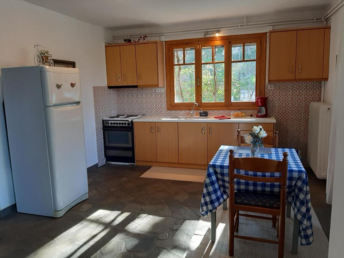 Appartamento Σπίτι Σε Ελαιώνα, House In An Olive Grove Ária Esterno foto