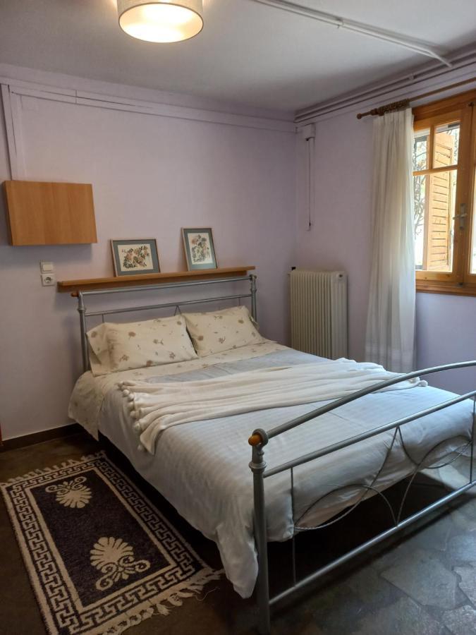 Appartamento Σπίτι Σε Ελαιώνα, House In An Olive Grove Ária Esterno foto